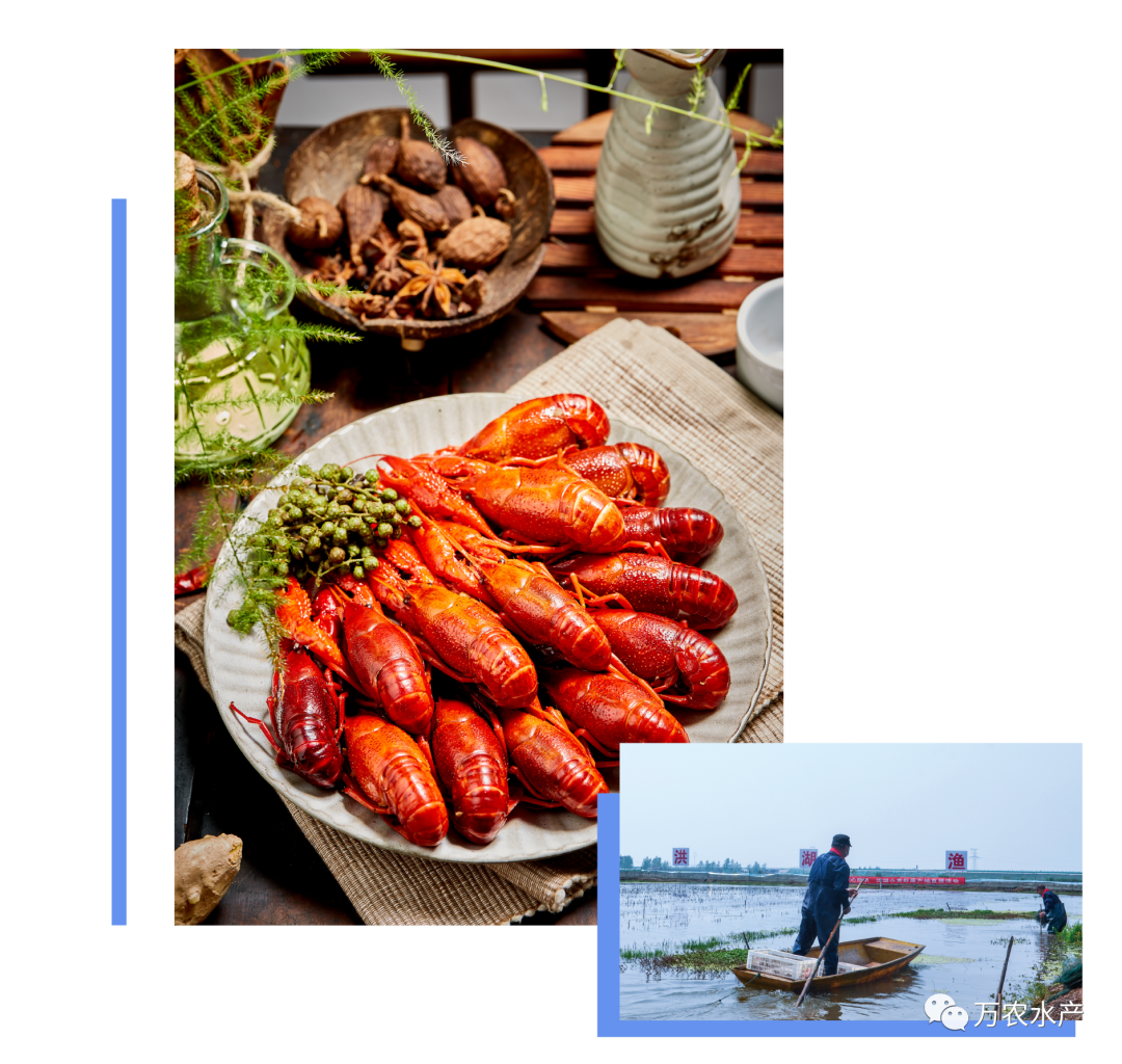 3月28日，萬農(nóng)水產(chǎn)與您相約武漢良之隆電商食材節(jié)