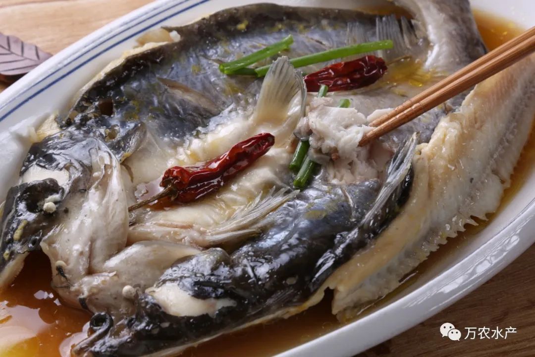 淡水魚價格持續(xù)上漲，深加工鮰魚產(chǎn)品優(yōu)勢明顯