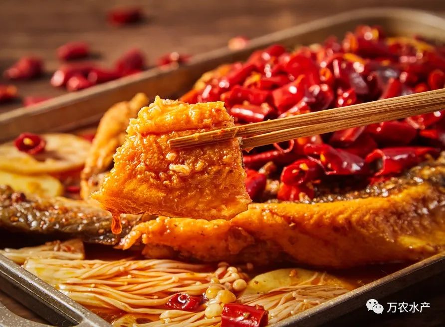 萬(wàn)農(nóng)水產(chǎn)新品亮相長(zhǎng)沙湘菜節(jié)，鮰魚(yú)預(yù)制菜有望成為行業(yè)爆品