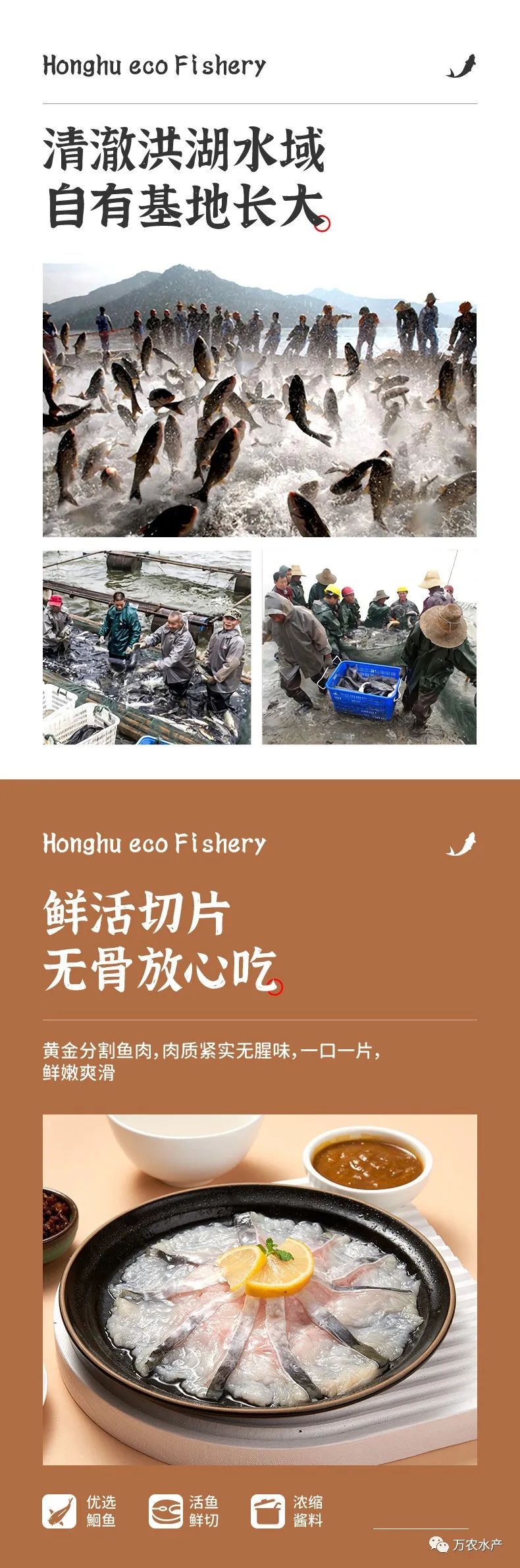 新品上市 | 金湯酸菜魚 （文末進店有福利）